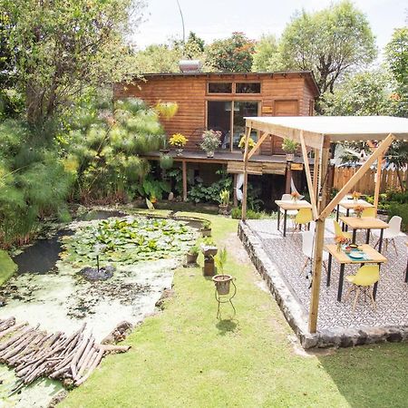 מלינלקו Canto De Aves Eco-Hotel Boutique מראה חיצוני תמונה