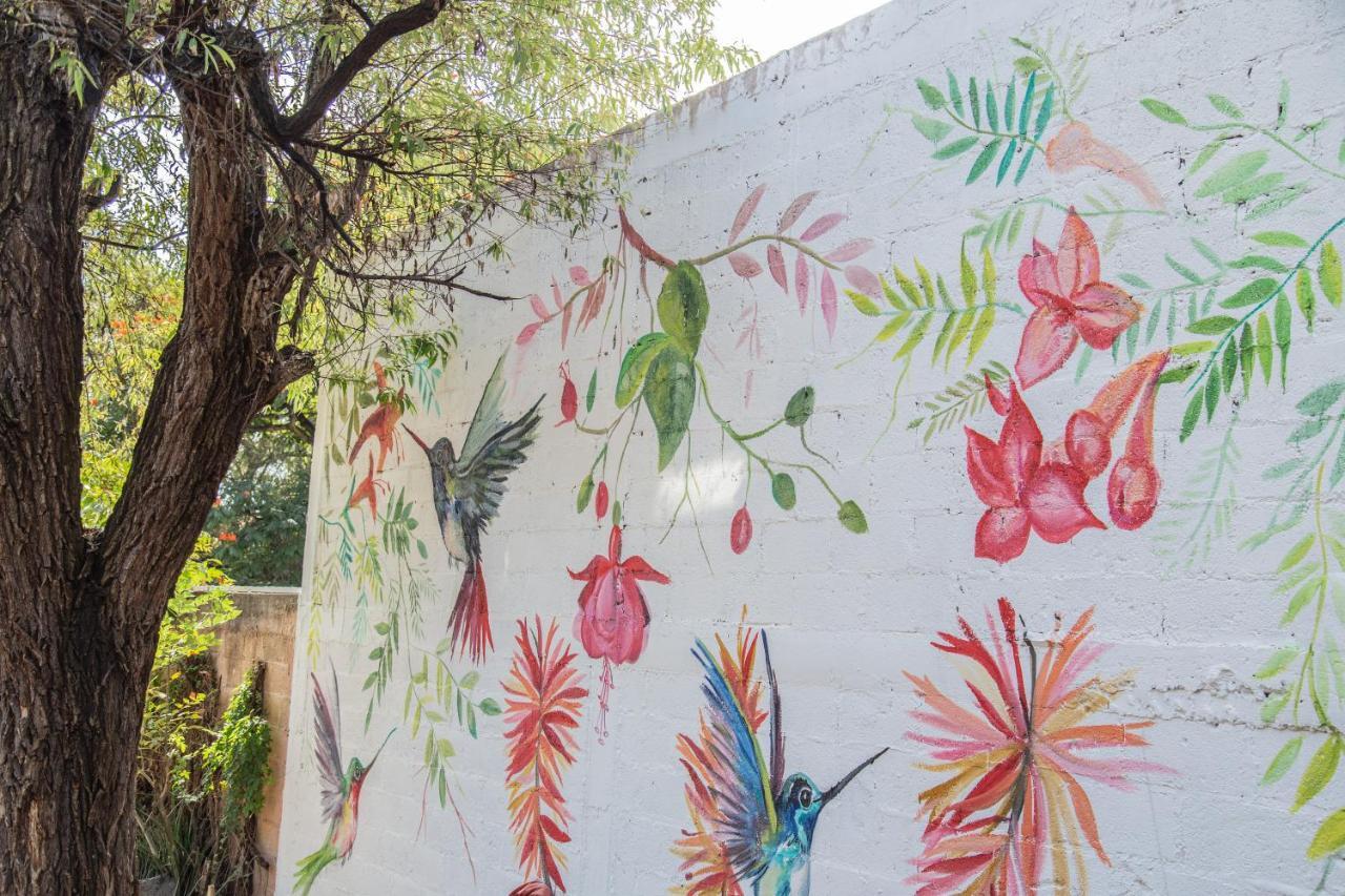 מלינלקו Canto De Aves Eco-Hotel Boutique מראה חיצוני תמונה