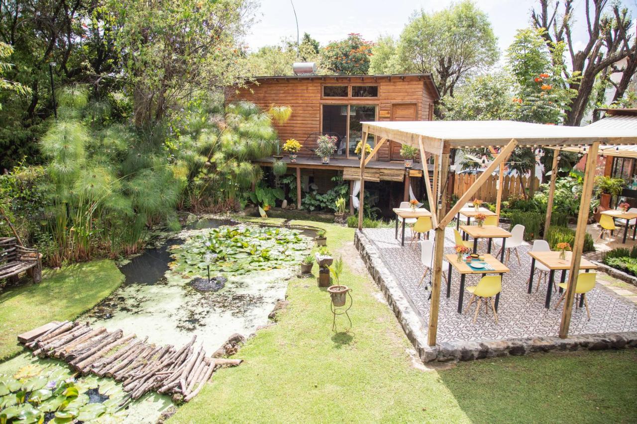 מלינלקו Canto De Aves Eco-Hotel Boutique מראה חיצוני תמונה