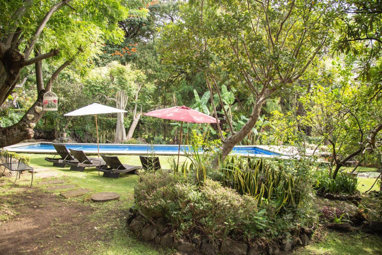 מלינלקו Canto De Aves Eco-Hotel Boutique מראה חיצוני תמונה