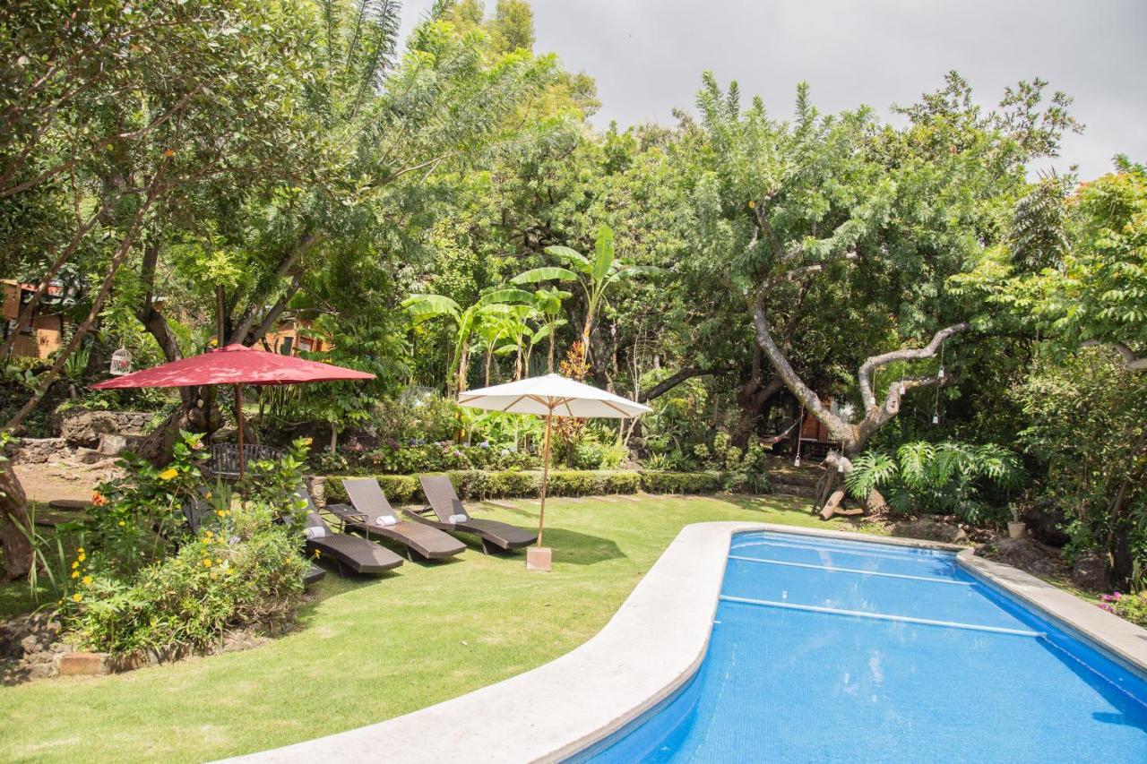 מלינלקו Canto De Aves Eco-Hotel Boutique מראה חיצוני תמונה